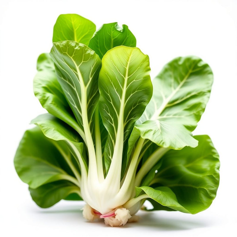 Bok Choy Seeds for Planting | Easy Growing Guide for Healthy Harvests
