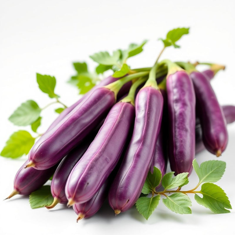 Purple Stallard Bean Vegetable Seeds for Planting