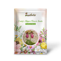 Lady’s Slipper orchid flower in bloom