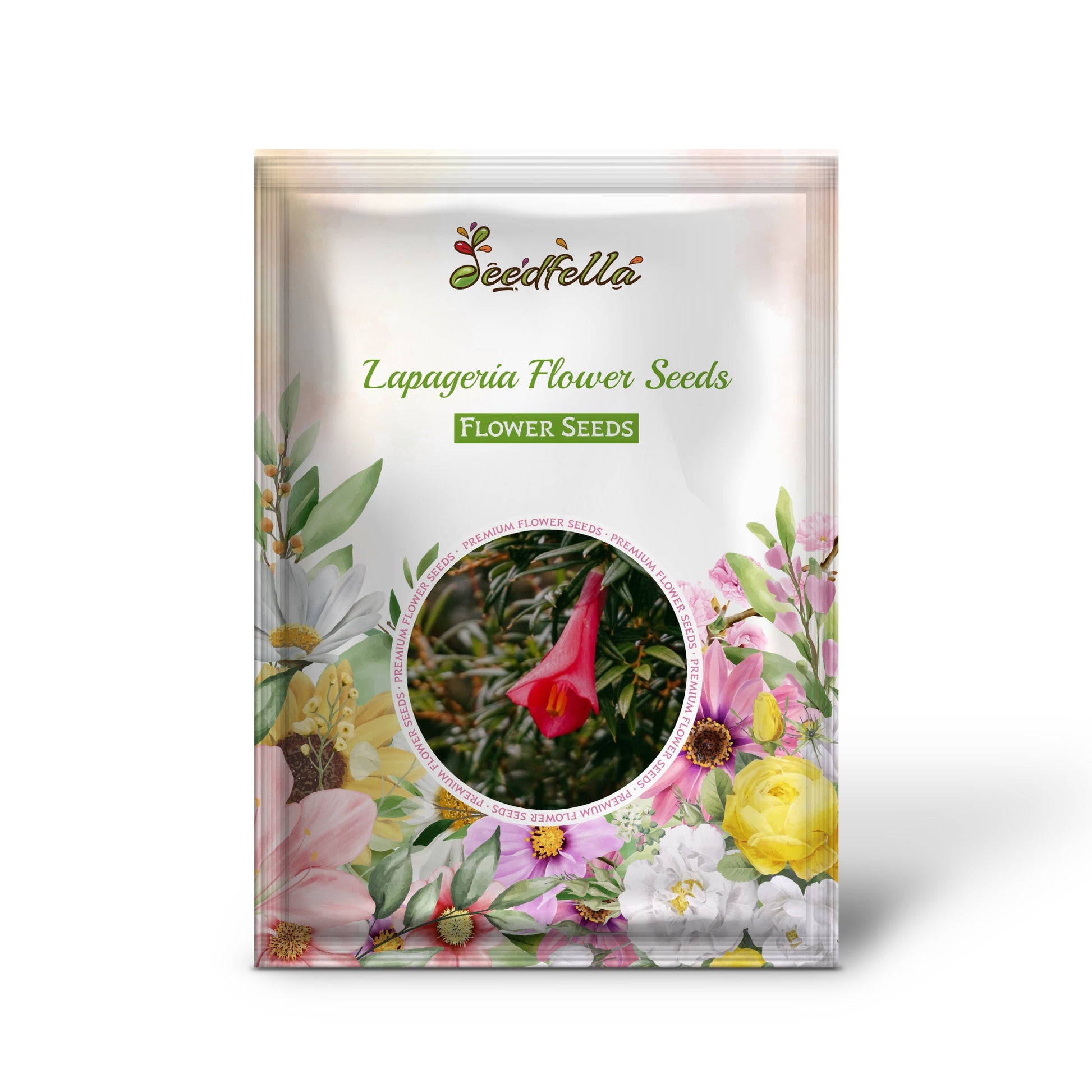 Lapageria garden seeds for shaded planting