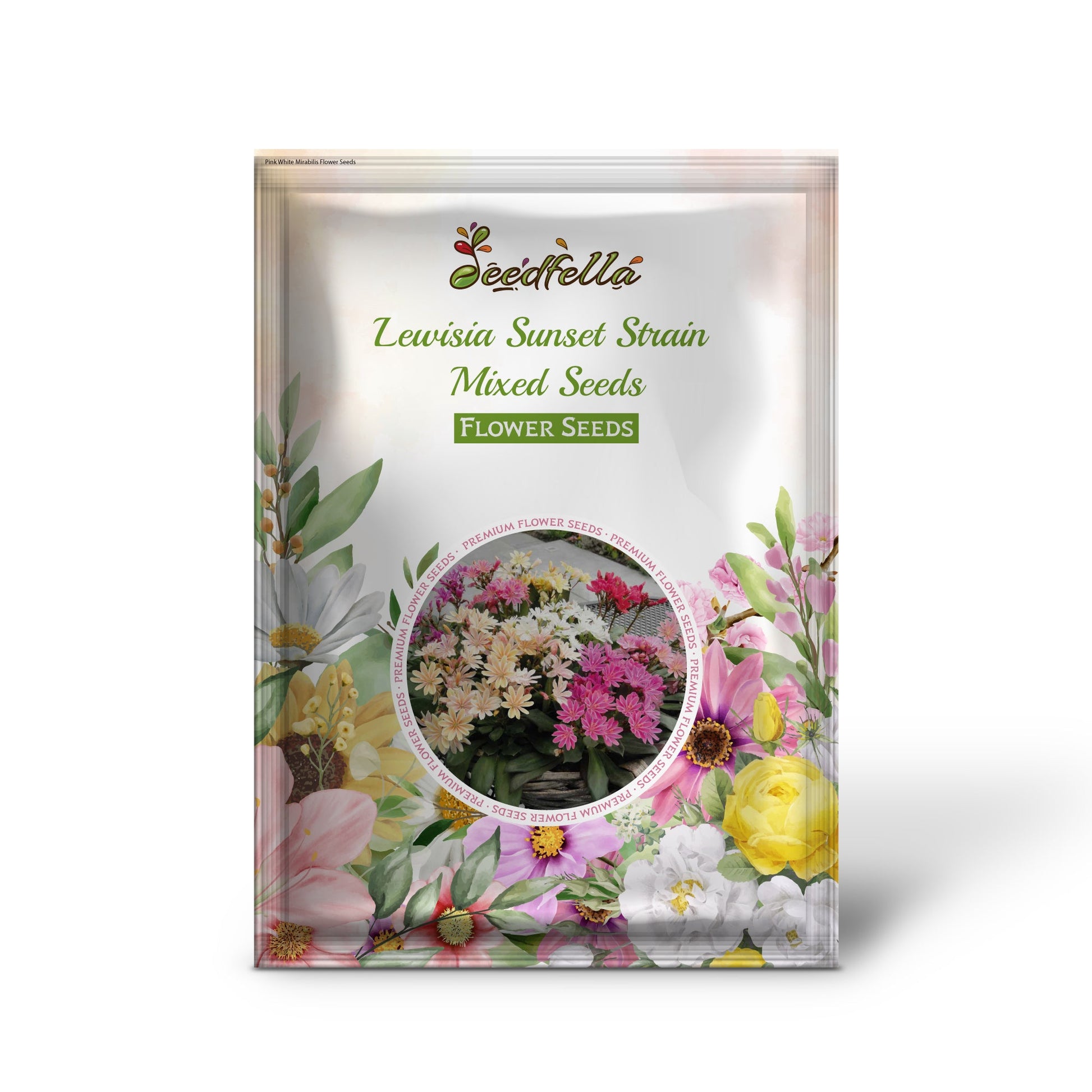Mixed Lewisia flower seeds for gardens