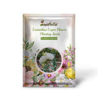 Lisianthus Logro flowers blooming in garden