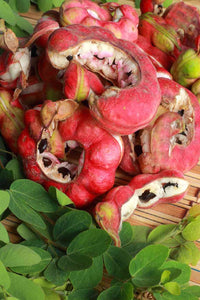 Manila Tamarind Tree Planting Seeds for Home Gardens
