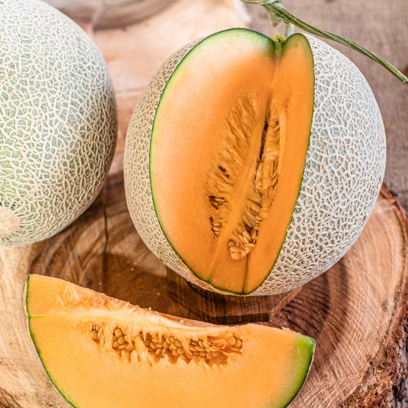 Cantaloupe Seeds for Planting: Cream Variety