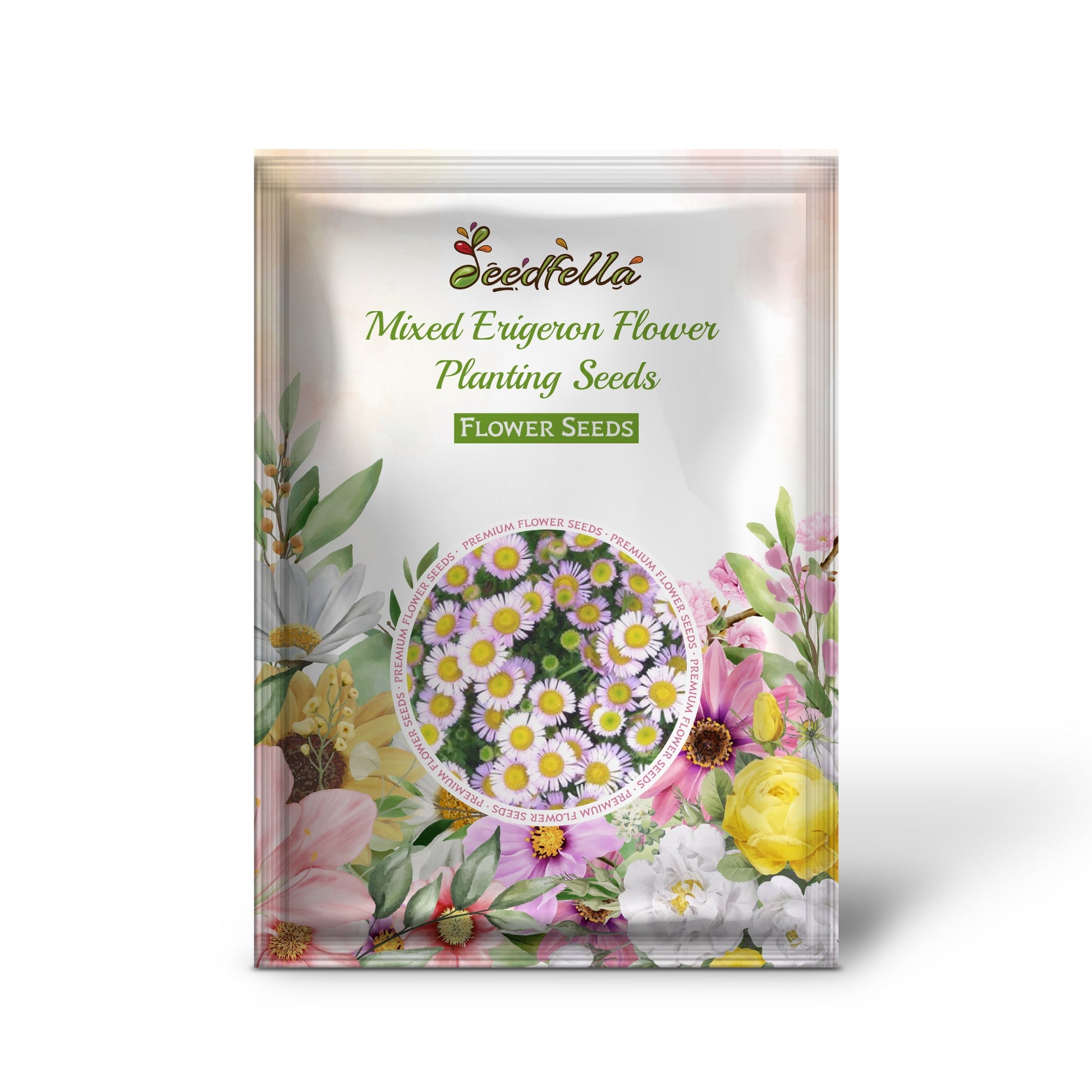 Mixed Erigeron flowers blooming in garden
