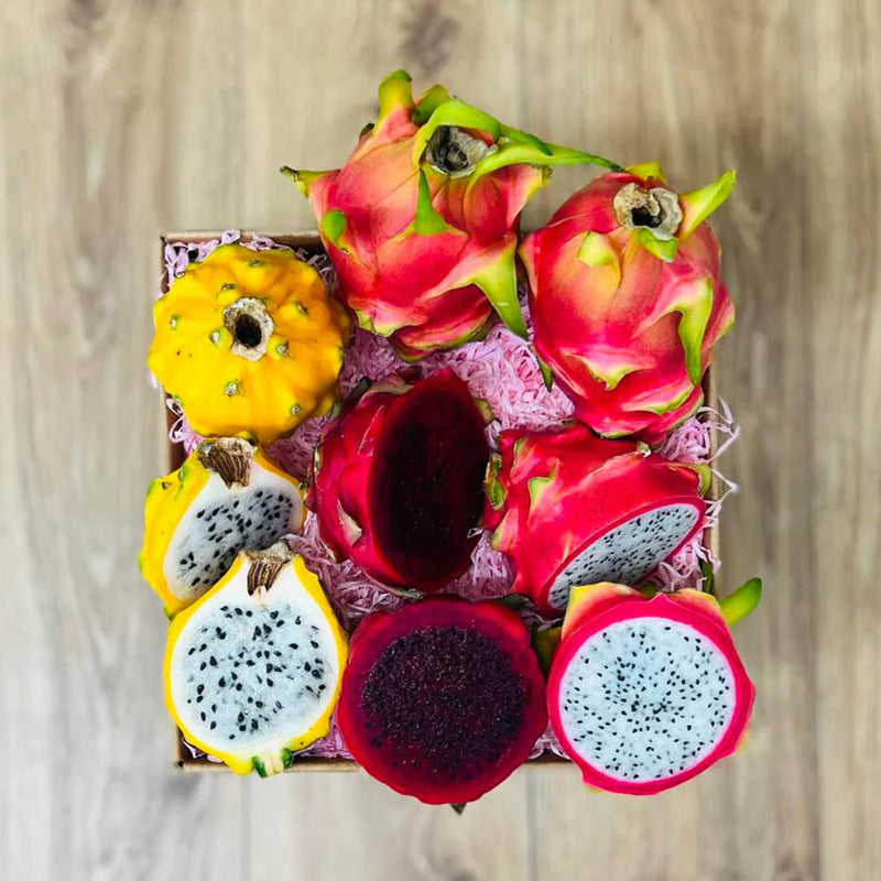 Mixed Pitaya Fruit Seeds for Easy Planting
