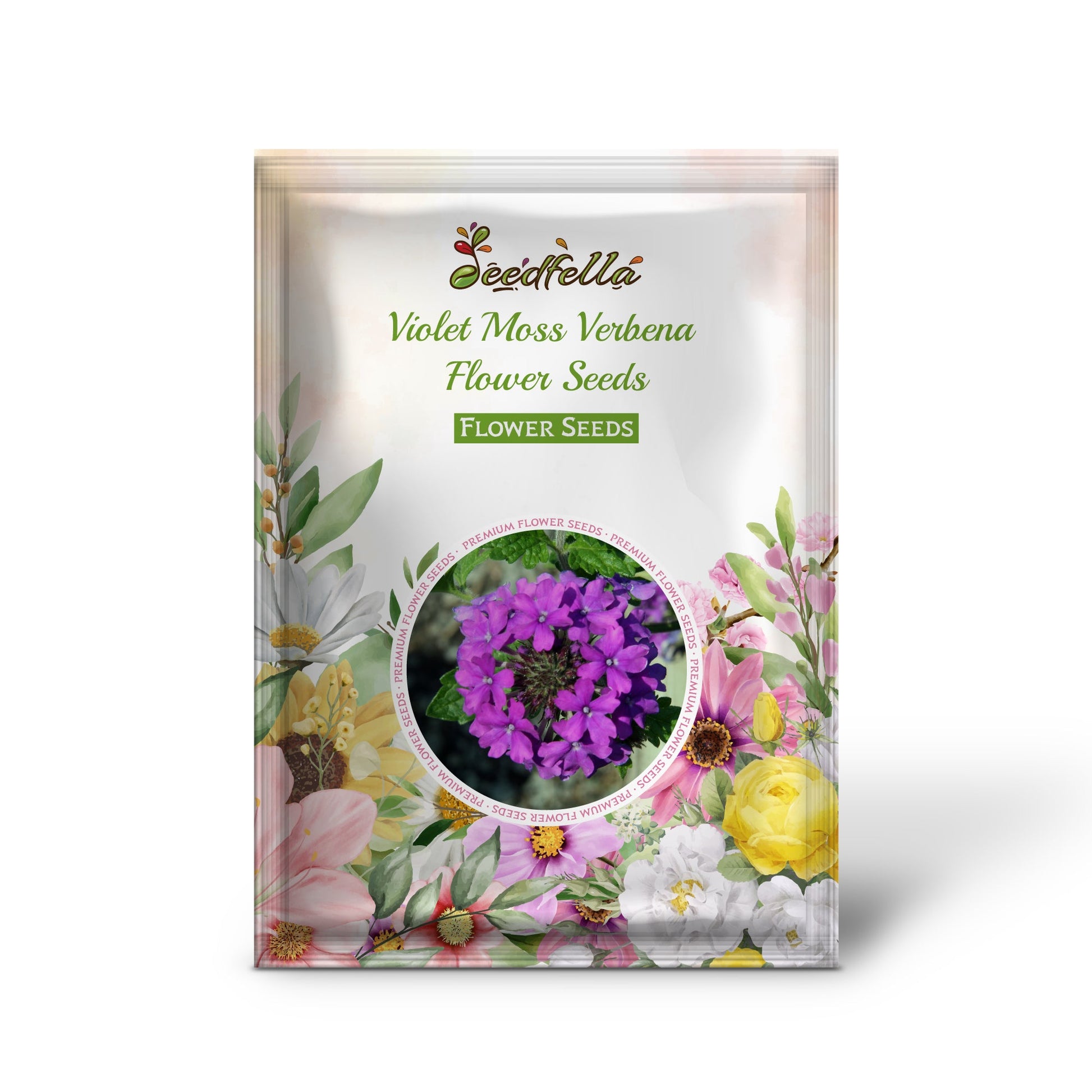 Non GMO Violet Moss Verbena seeds