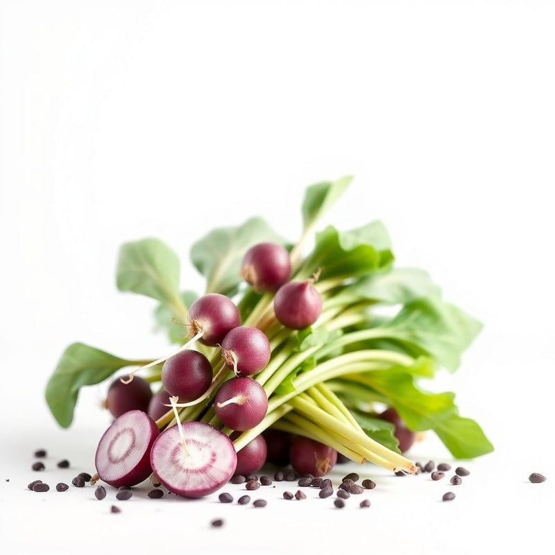 Nutritious Purple Radish Seeds for Planting