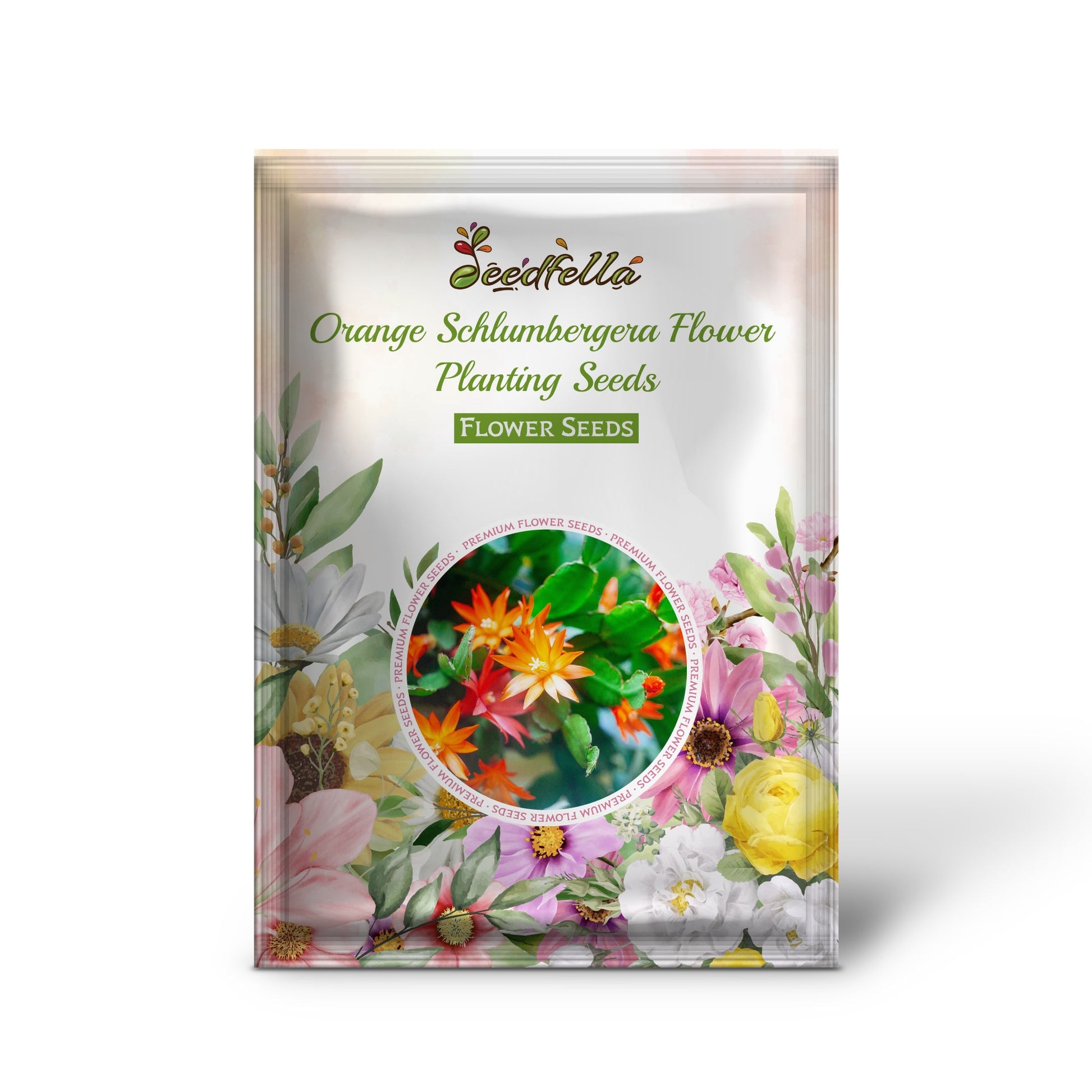 Orange Schlumbergera flowers blooming