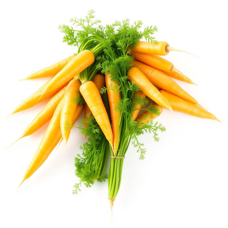 Yellow Carrot Planting Seeds Collection