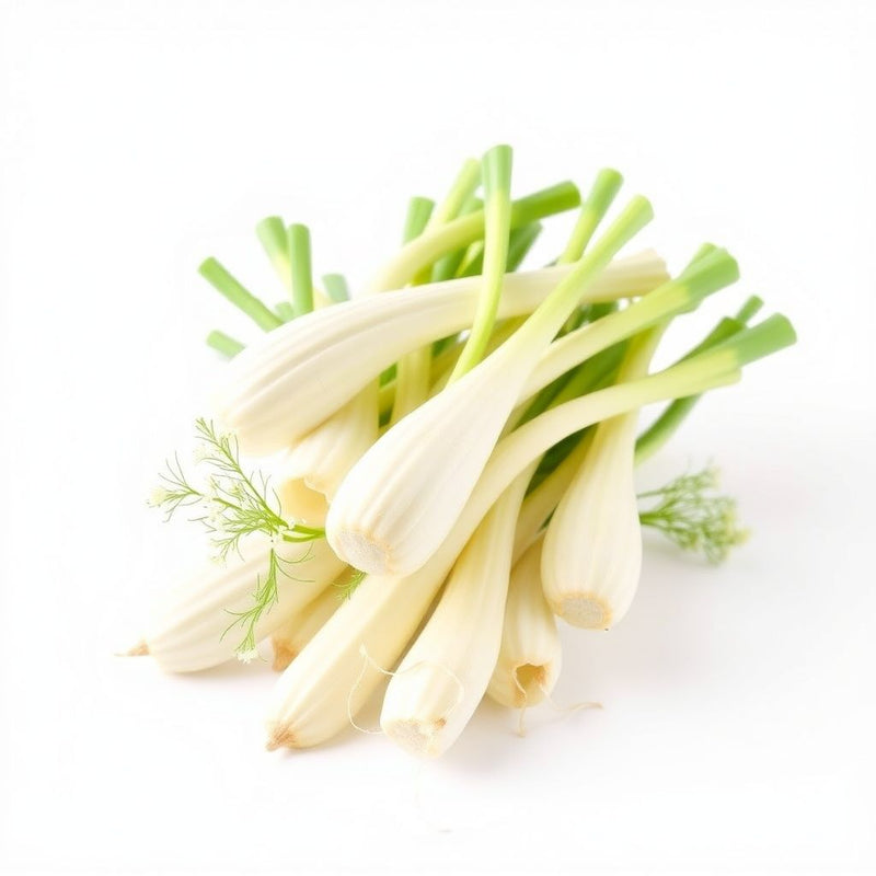 White Florence Fennel Vegetable Seeds for Planting