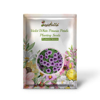 Violet white petunia garden seeds for outdoor planting