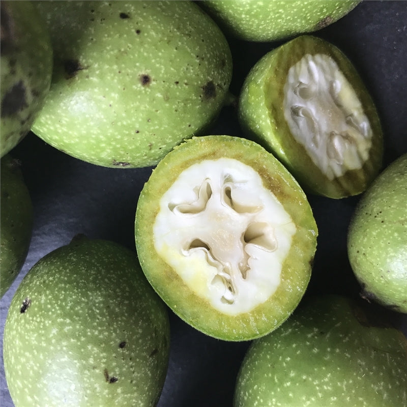 Green Walnut Fruit Planting Seeds - Nutritious Seeds for Home Gardening & Sustainable Planting