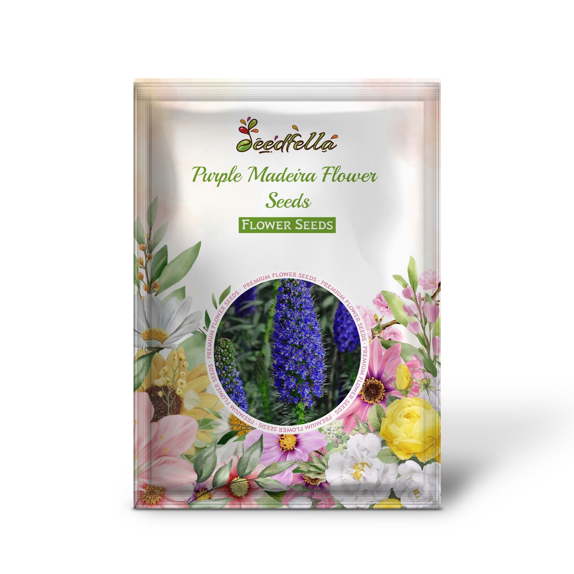 Purple Madeira flowers blooming in garden