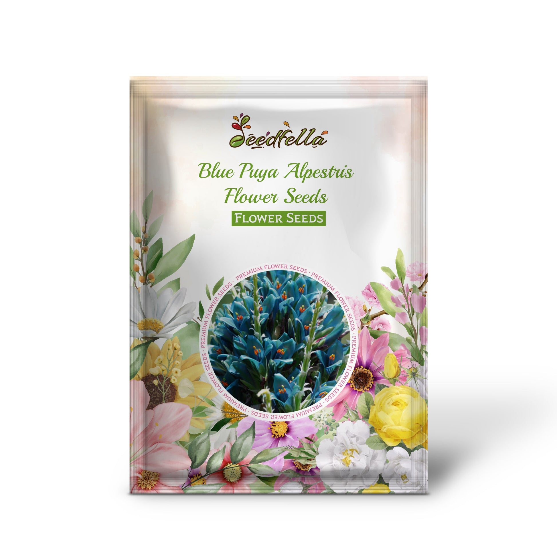Blue Puya garden seeds for outdoor planting
