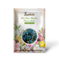Blue Puya garden seeds for outdoor planting