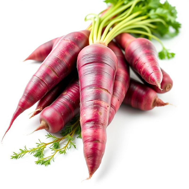 Purple Carrot Seeds - Hearty Planting Variety