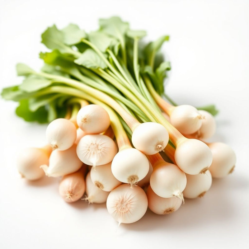 Green Radish Seeds for Planting - Fresh Vegetable Seeds