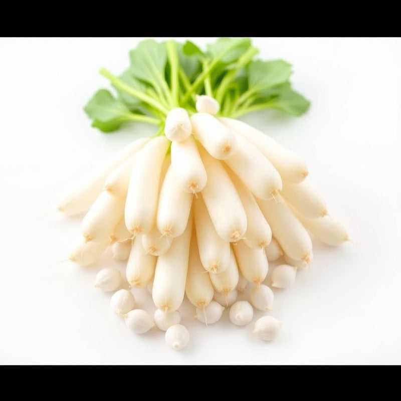 White Radish Seeds for Vegetable Planting