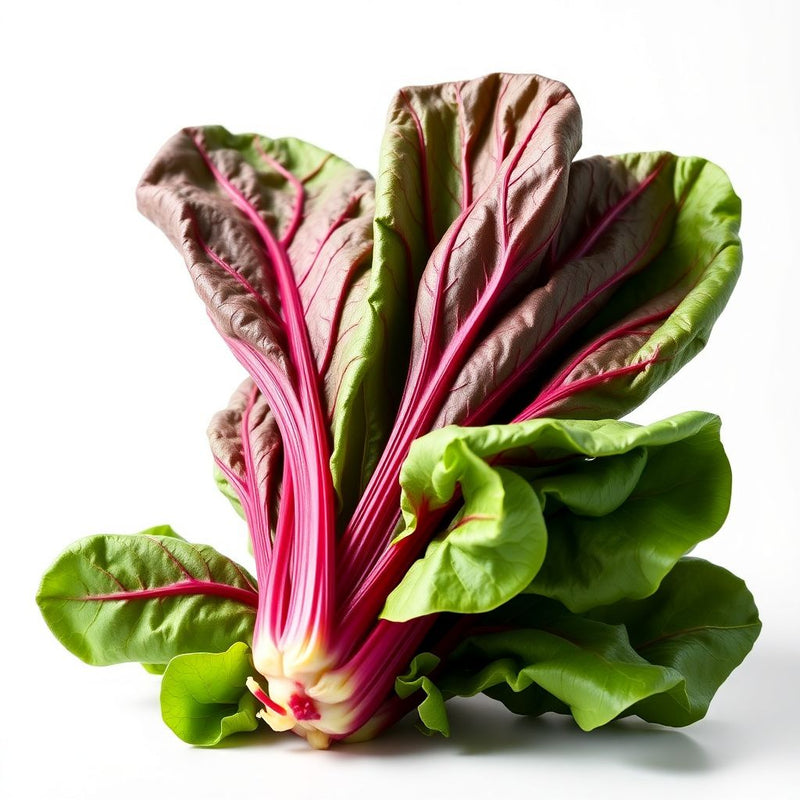 Red Swiss Chard Seeds for Planting - Nutrient-Rich Vegetable