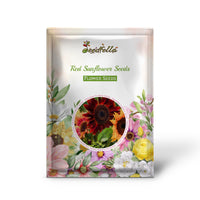 Red Sunflower flowers blooming in garden