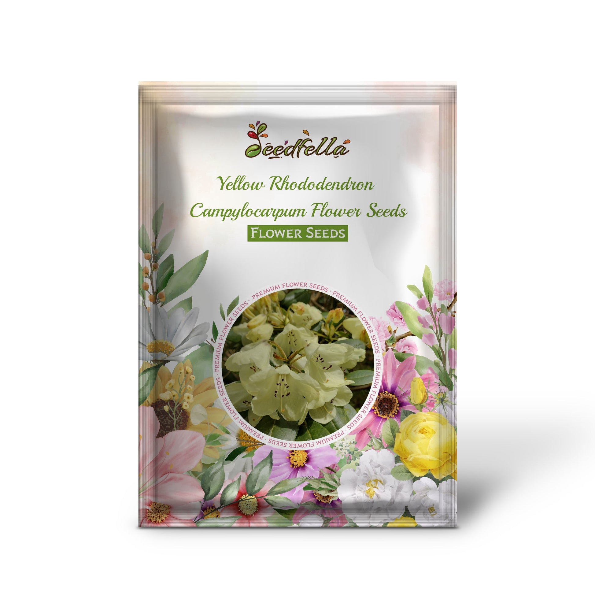 Yellow Rhododendron garden seeds for shaded planting