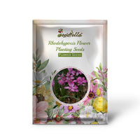 Rhodohypoxis garden seeds for outdoor planting