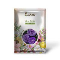 Rose garden planting seeds for home gardens