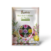 Mixed rose garden seeds for outdoor planting
