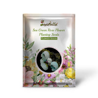 Sea green rose garden seeds for outdoor planting