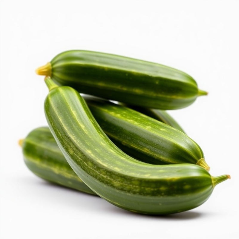 Chinese Yellow Cucumber Seeds – Rare Heirloom Vegetable