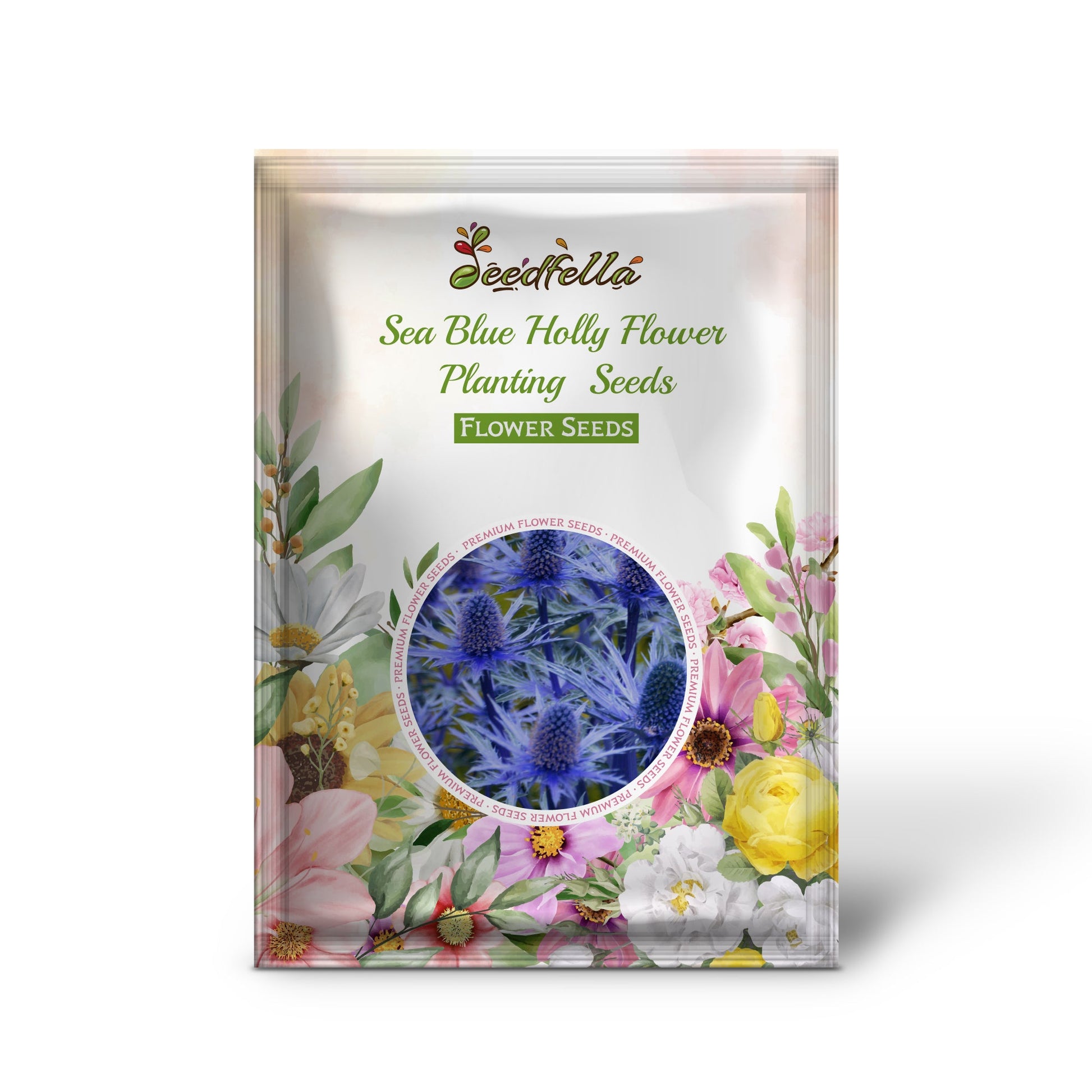 Sea Blue Holly flowers blooming in garden