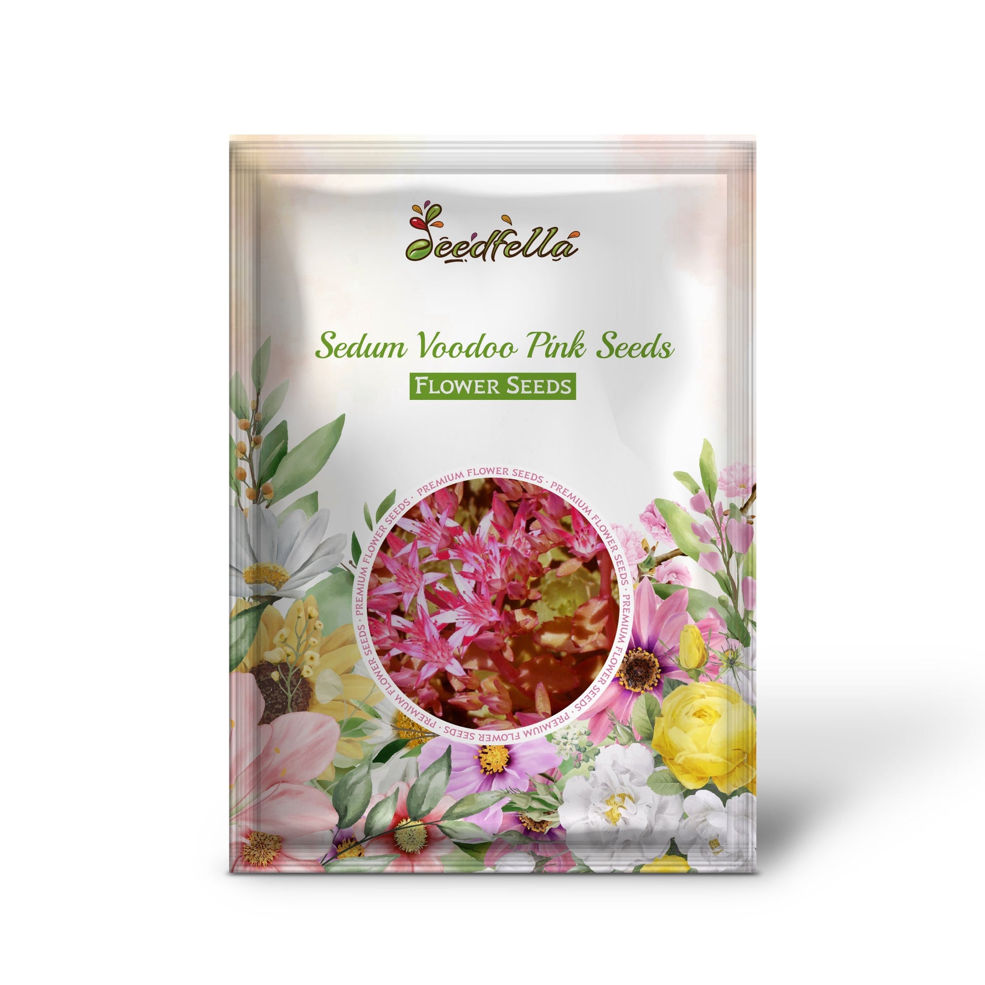 Voodoo Pink Sedum garden seeds for outdoor planting