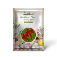 Star Creeper garden seeds for outdoor planting