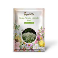 Sweet Cicely plant growing in herb garden