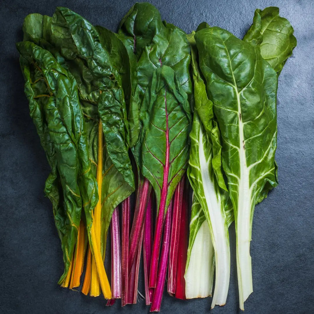 Rainbow Chard Vegetable Seeds for Easy Planting