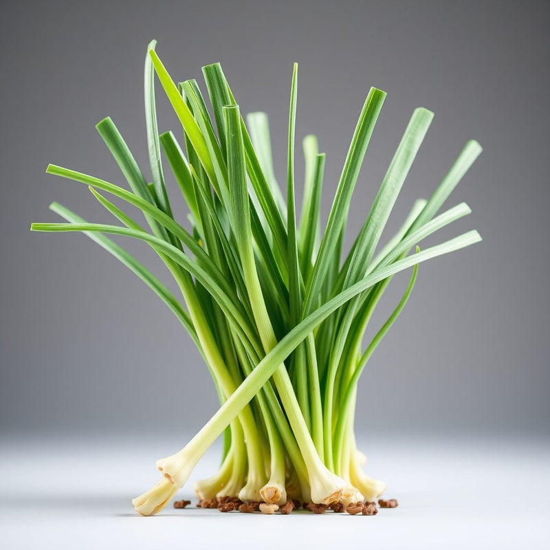 Scallion Vegetable Seeds  Perfect for Planting