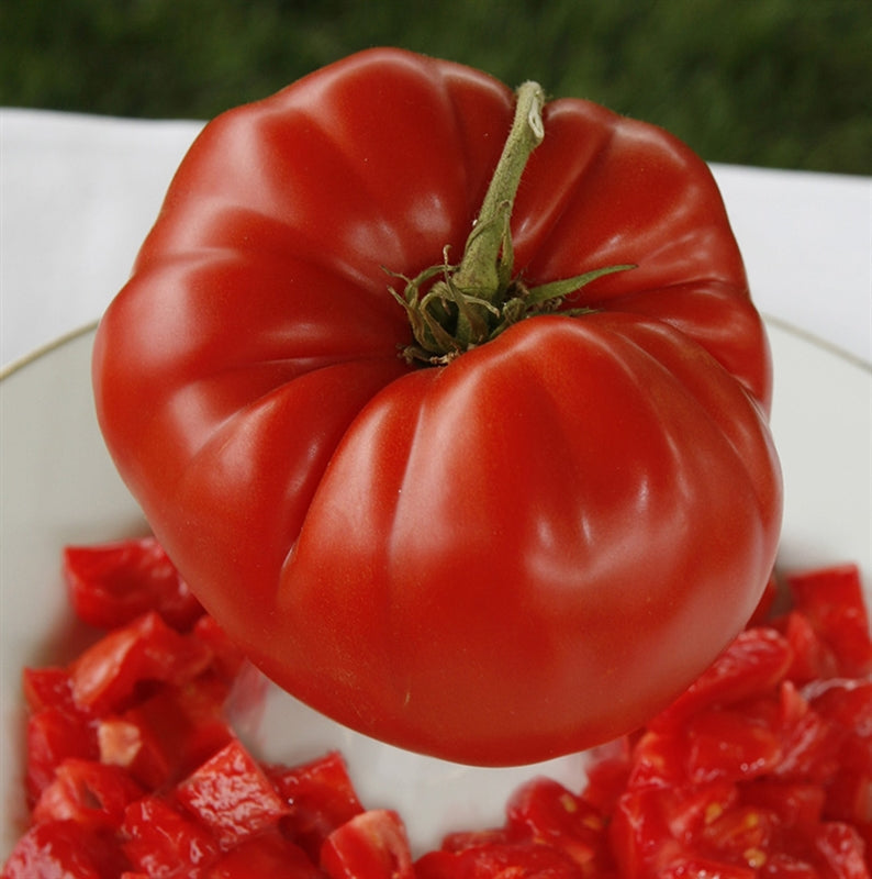 Aussie Tomato Seeds for Sweet, Juicy Australian Tomatoes