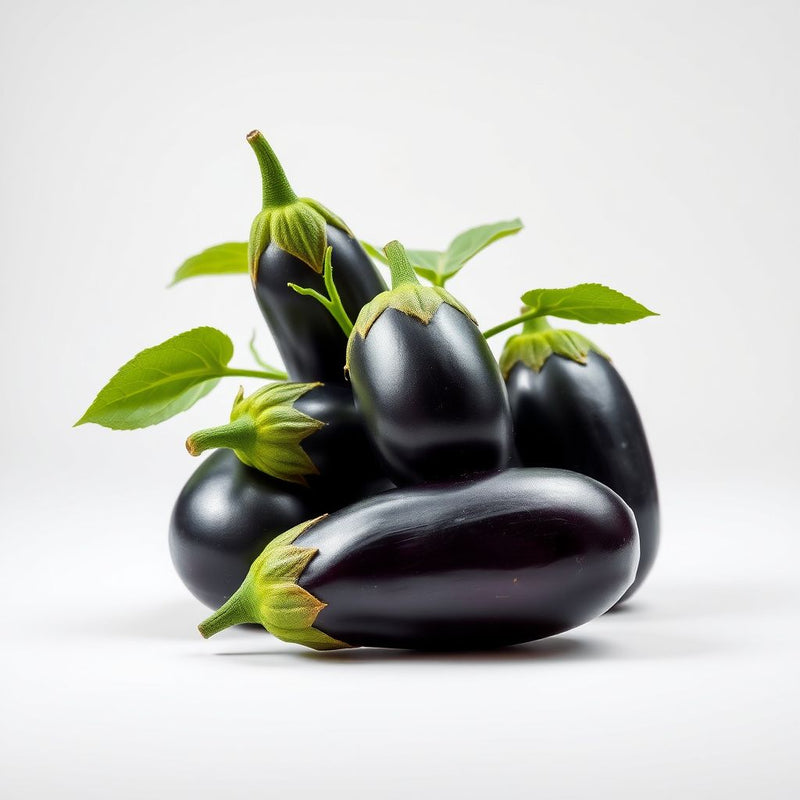 Udumalpet Eggplant Vegetable Seeds for Easy Planting