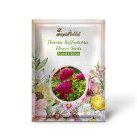 Tree Peony garden seeds for outdoor planting