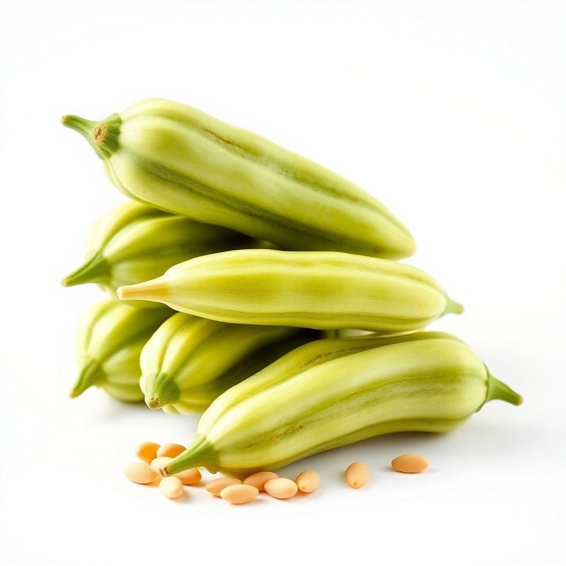 Green Wax Gourd Vegetable Seeds for Easy Planting