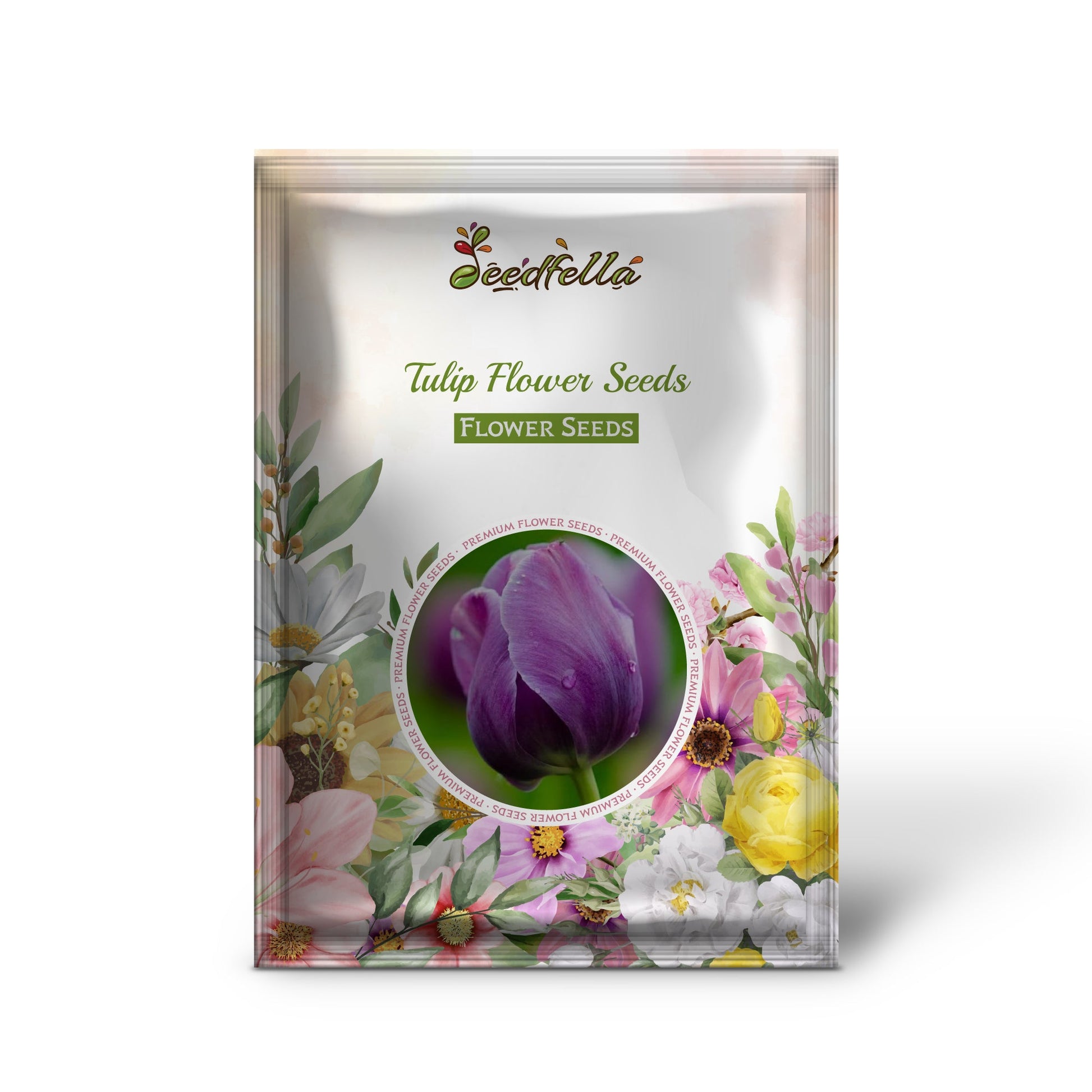 Tulip collection garden seeds for spring planting