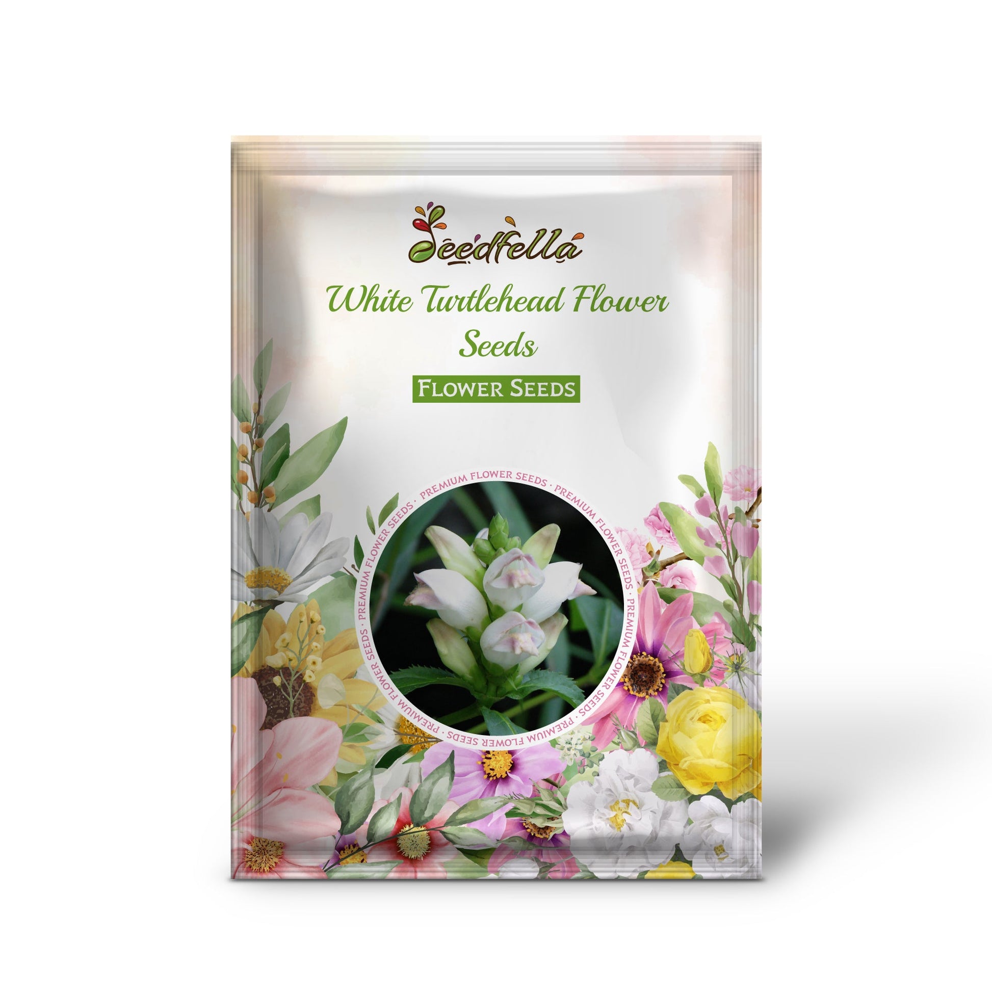 White Turtlehead garden seeds for outdoor planting