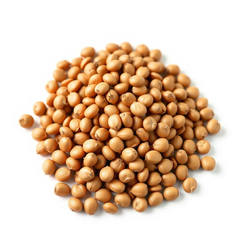 Brown Sweet Soybean Seeds for Planting