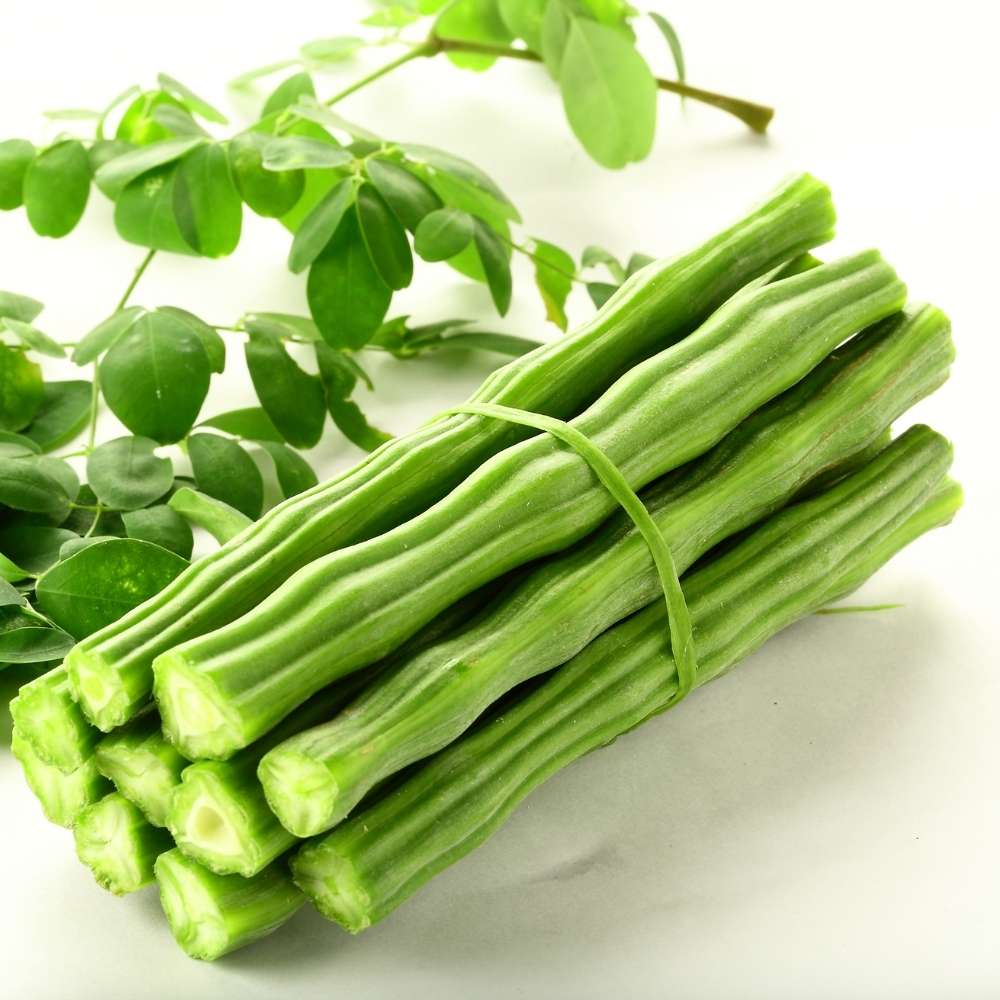 Organic Moringa Oleifera Seeds for Planting