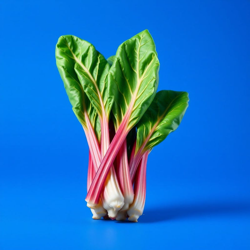 Rainbow Chard Vegetable Seeds for Easy Planting