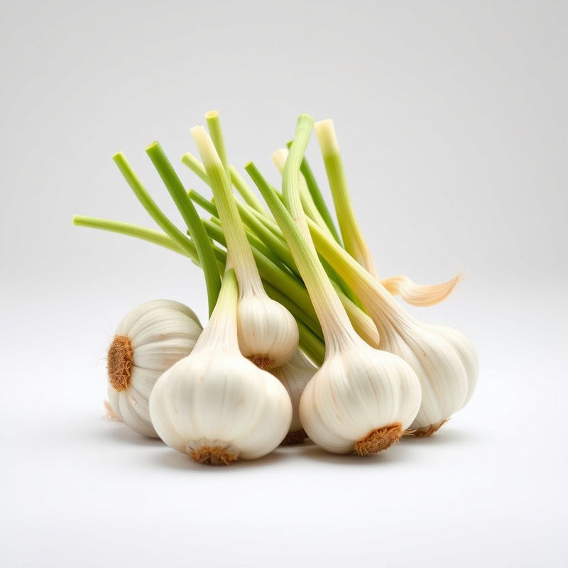Green Garlic Vegetable Seeds - Easy Planting