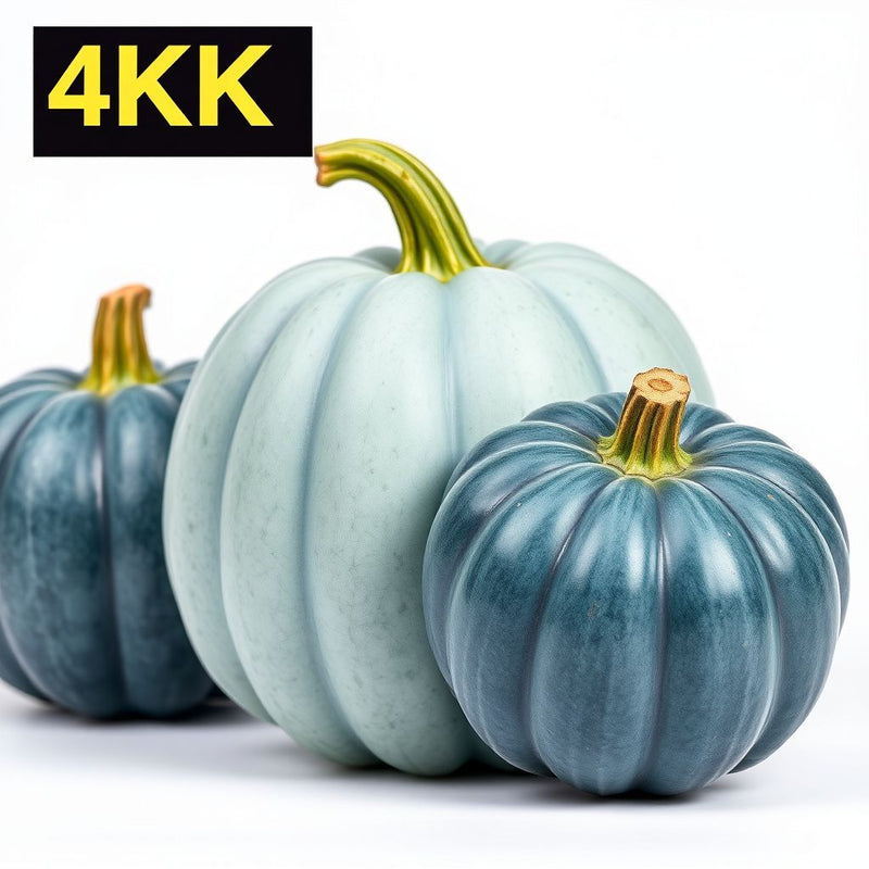 Jarrahdale Blue Pumpkin Seeds for Planting - Premium Vegetable Seeds