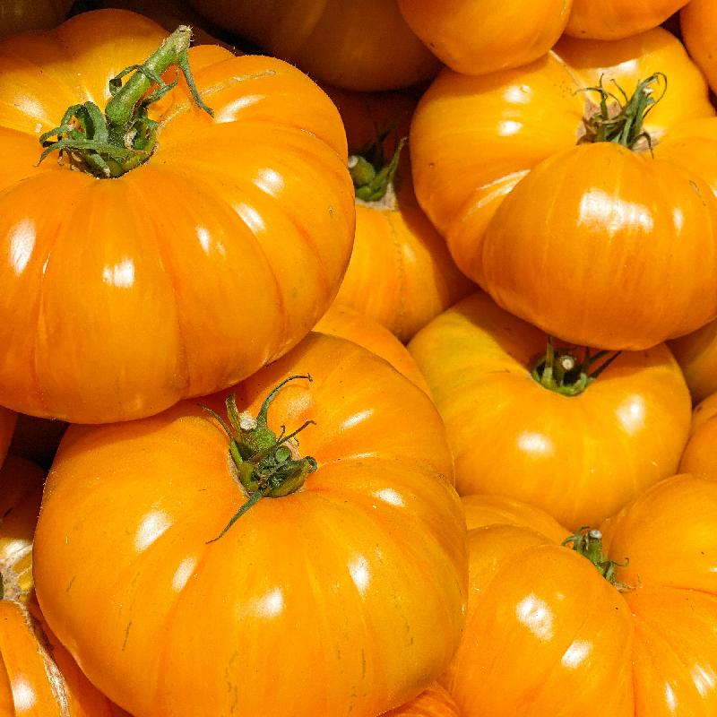 Yellow Tomato Seeds for Planting