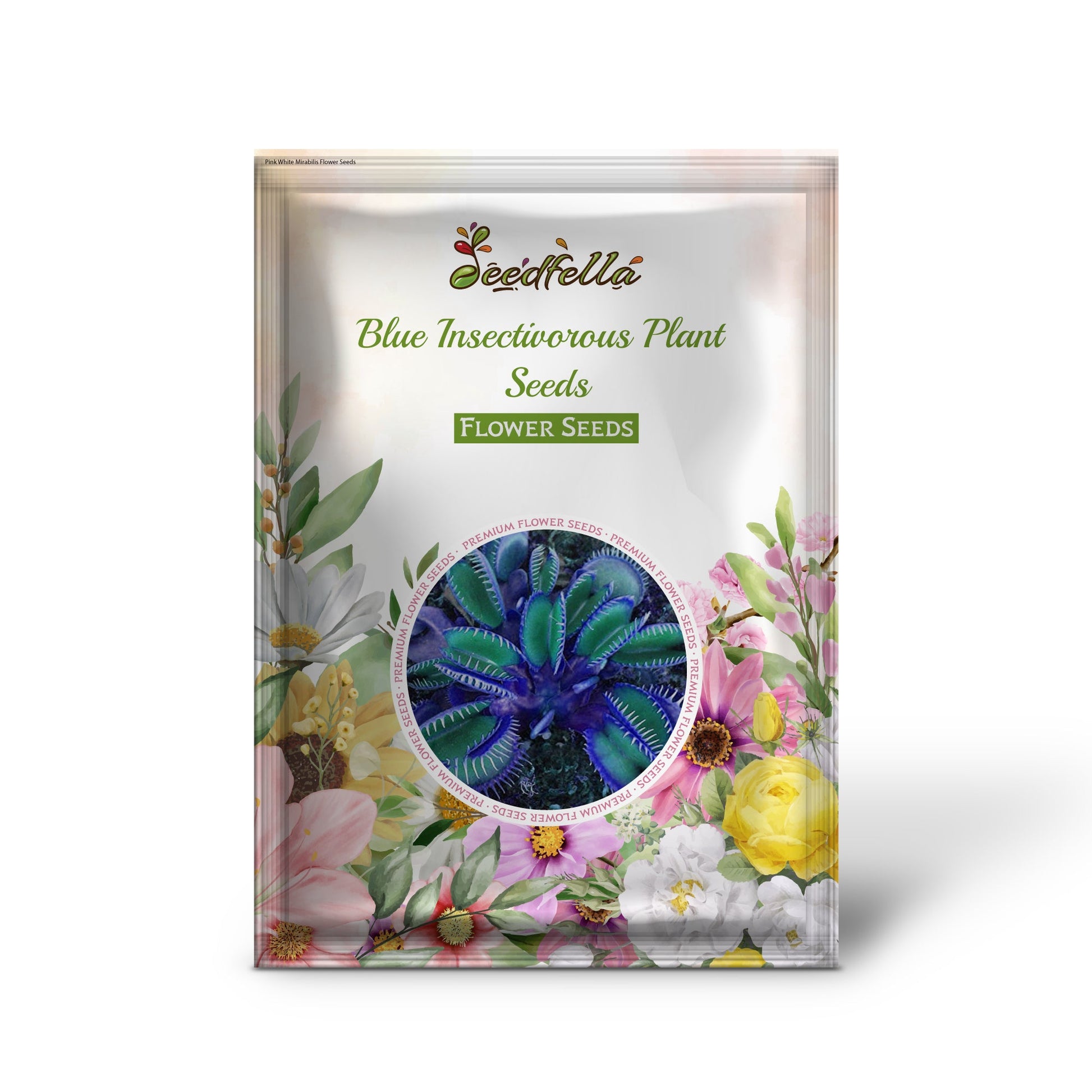 Blue Venus Fly Trap garden seeds for indoor planting